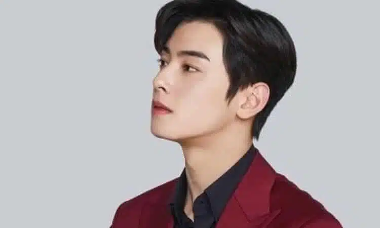 Cha Eun Woo para Noona Holdak Chicken