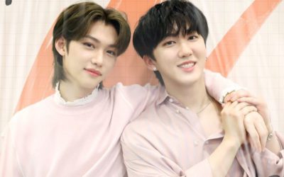 Changbin y Felix de Stray Kids