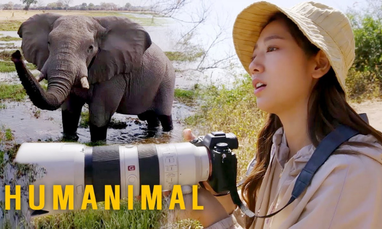 Tres fascinantes documentales que puedes encontrar en Doramasmp4