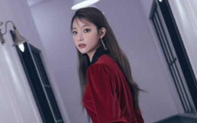 Supuesto hermano pequeño de Hyunjoo dice que se fue de APRIL porque los miembros la intimidaron hasta el punto en desear de cometer suicidio