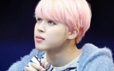 Jimin en fan meeting