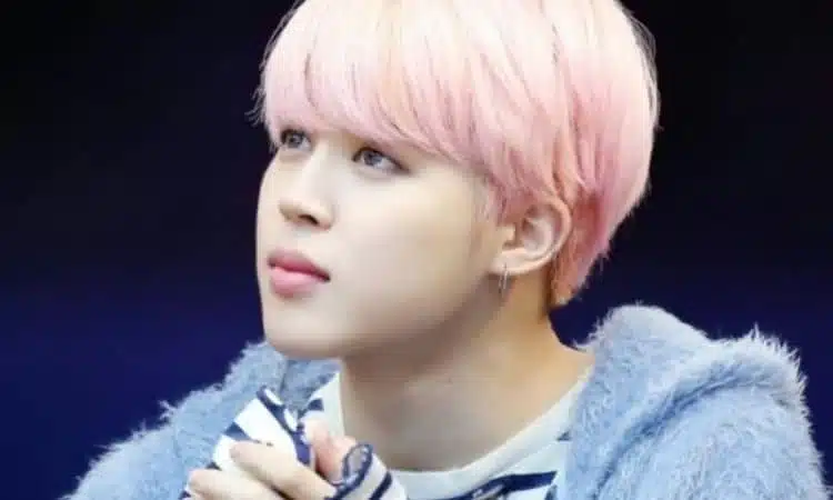 Jimin en fan meeting