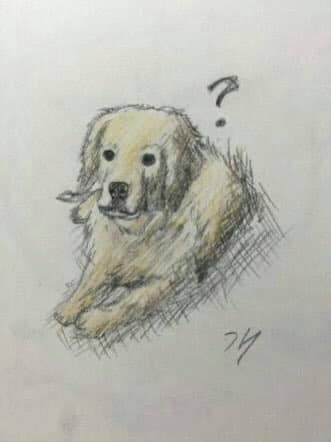 Jungkook de BTS es la competencia de Picasso por estas obras maestras