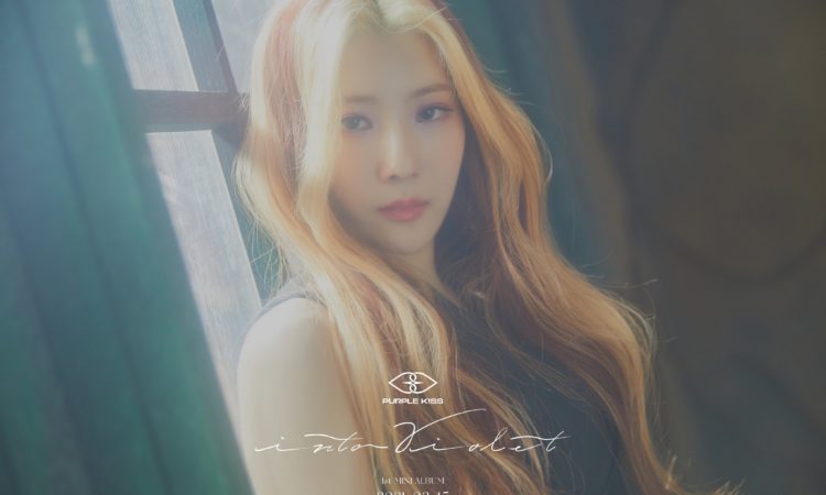 Yuki, Chaein & Swan de PURPLE K!SS revelan se empoderan en sus fotos conceptos de Into Violet