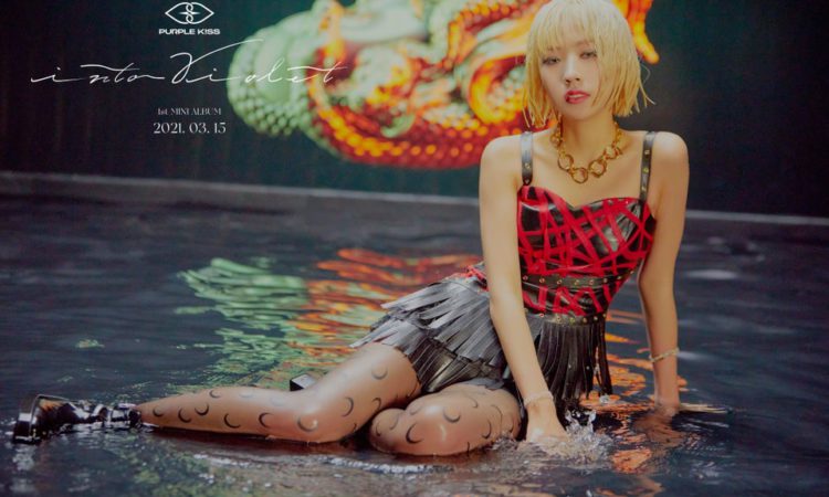 Dosie & Ireh de PURPLE K!SS publican sus visuales fotos para Into Violet