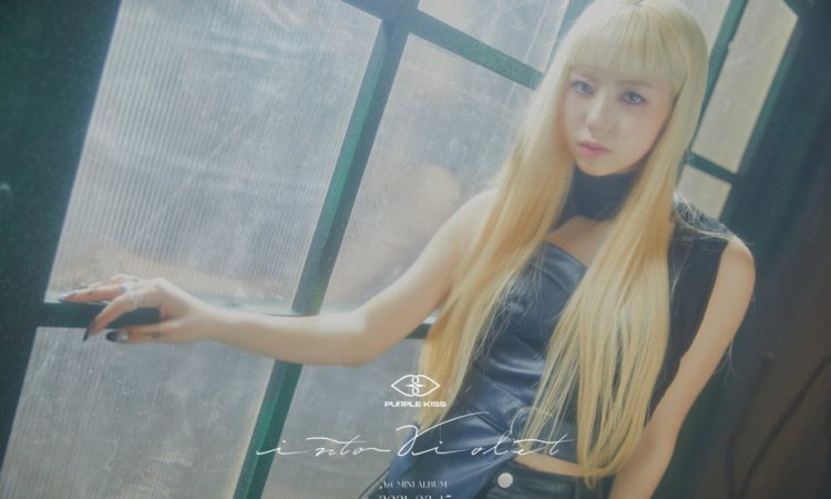 Dosie & Ireh de PURPLE K!SS publican sus visuales fotos para Into Violet