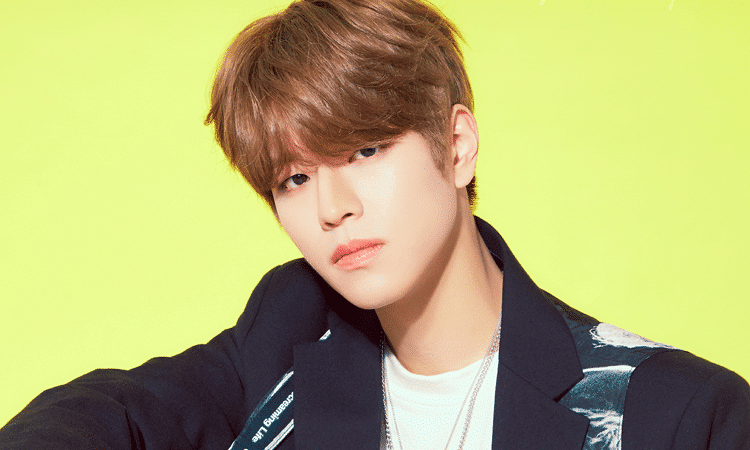 JYP Entertainment bajo fuego tras publicación de Seungmin de Stray Kids sobre sasaengs