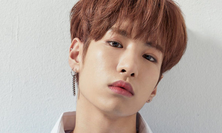 Ex-miembro de A-JAX Yunyoung habla para defender a APRIL