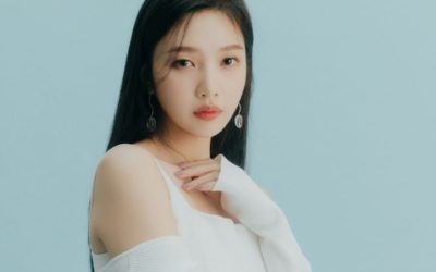 Joy de Red Velvet