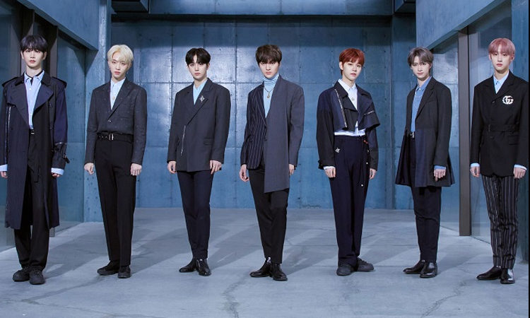 Conoce el nombre oficial del fandom de DRIPPIN