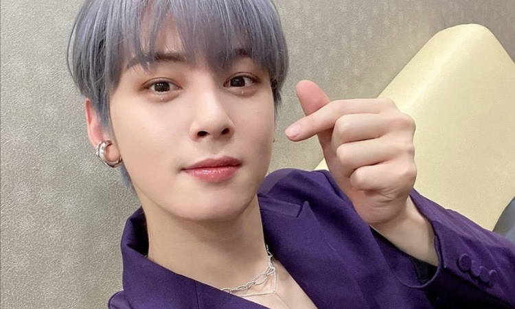 Cha Eun Woo de ASTRO destaca sus habilidades de ingles en 'Master In The House'