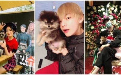 Ídolos de kpop y sus mascotas