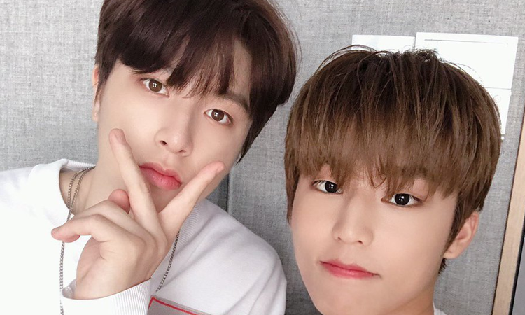 Jeongwoo y Junghwa de TREASURE reciben resultados de COVID