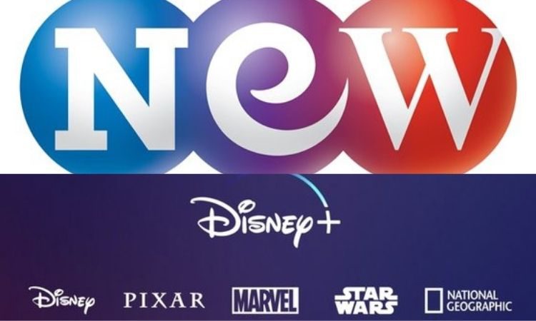 Studio & New y Disney Plus