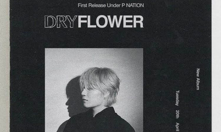 PENOMECO lanza 'Dry Flower', su primer álbum como parte de P NATION
