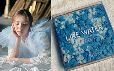 Netizens se enamoran del empaque para el nuevo album de Wendy de Red Velvet