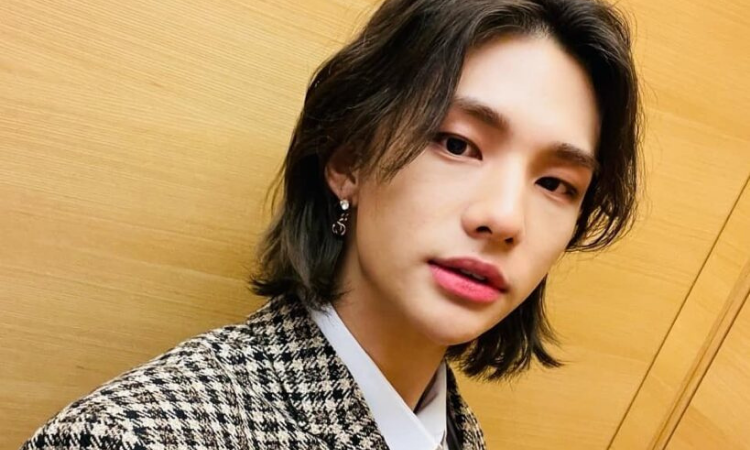 ENCUESTA: STAY, ¡Alza tu voz y vota por el regreso de Hyunjin de Stray Kids!