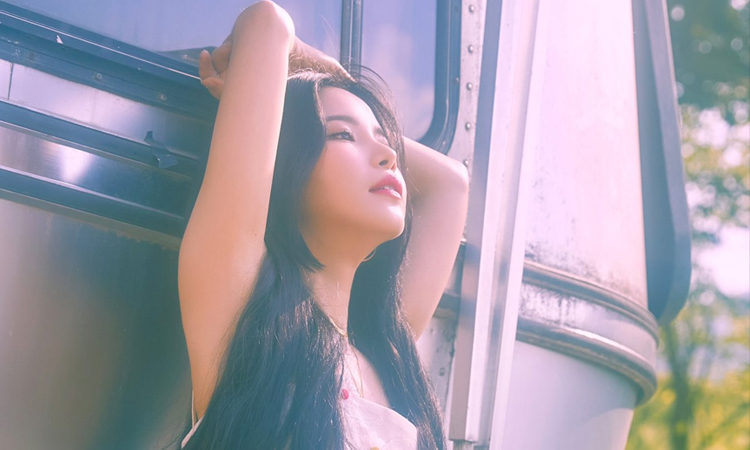 Solar de MAMAMOO muestra sus encantos para sus fotos de WAW