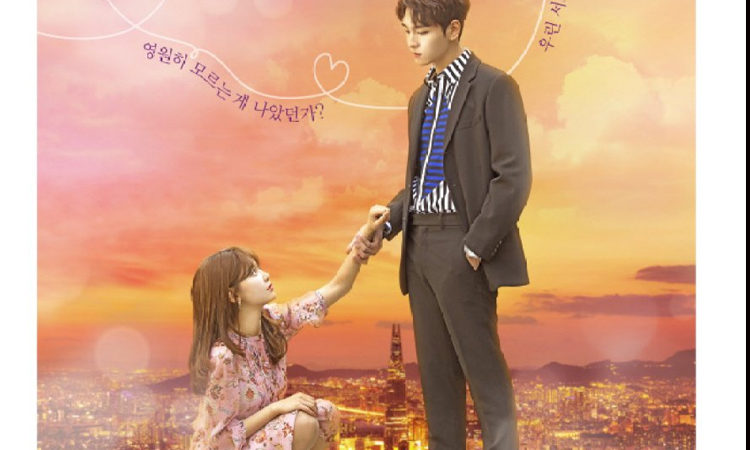 Disfruta el dorama So I married an anti-fan que ya se encuentra en Doramasmp4