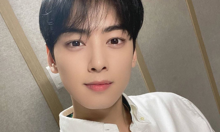 ¿Quién es el guapo y misterioso hermano de Cha Eun Woo de ASTRO?