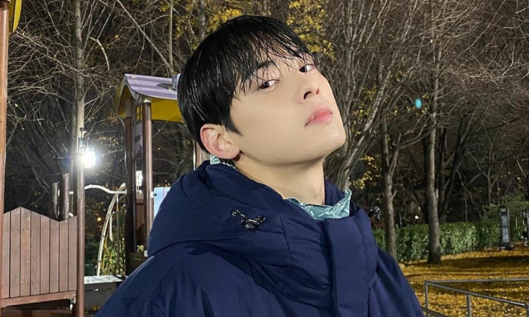 Cha Eun Woo de ASTRO enamora a Aroha con este método para combatir el frío 