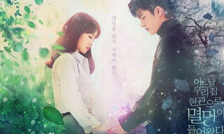 Póster de Doom at your service