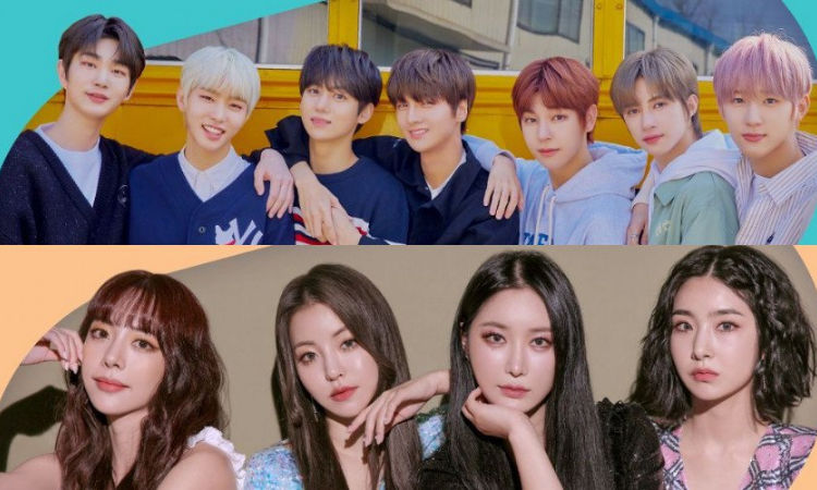 DRIPPIN y Brave Girls se unirán oficialmente a la plataforma UNIVERSE