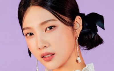 Joy de Red Velvet