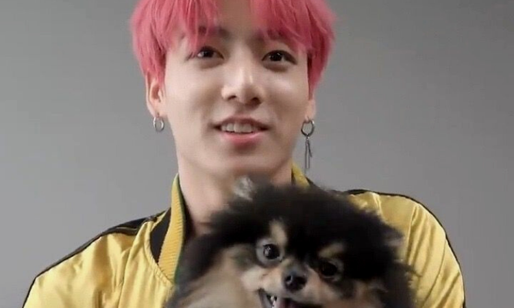 Jungkook de BTS confirma su amor por los animales de forma significativa