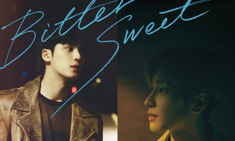 Wonwoo y Mingyu de SEVENTEEN nos enamoran con sus nuevos posters para ‘Bittersweet’ 
