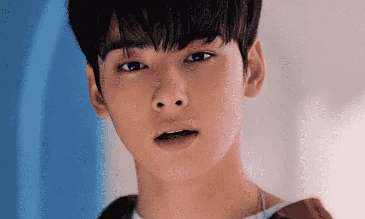 ¿Cómo luciría Cha Eun Woo de ASTRO si fuera una chica?