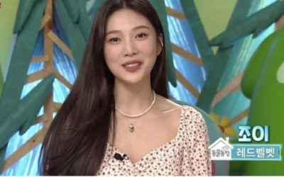 Joy de Red Velvet en Animal Farm