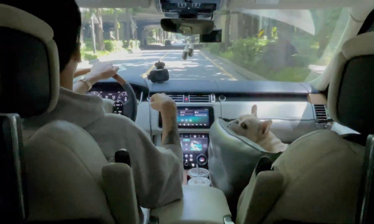 RAVI conduce junto a su cachorro en el vídeo teaser de 'Cardigan'