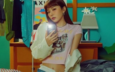 Póster del programa Seulgi.zip