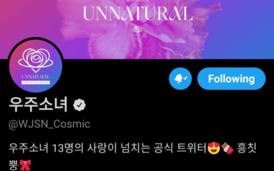 Ujung creen que las integrantes chinas de WSJN no regresarán ya que elimina a '13 integrantes 'de su biografía