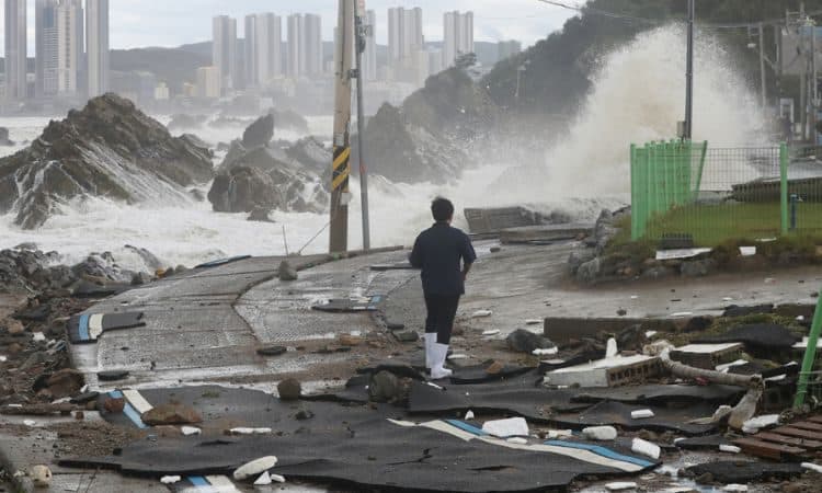 Daños causados por el tifón