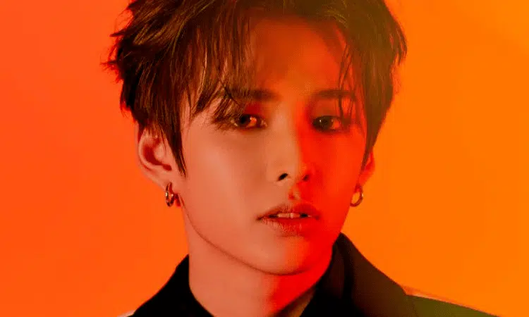 Dylan abandona D-CRUNCH